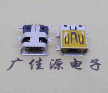 泰州迷你USB插座,MiNiUSB母座,10P/全贴片带固定柱母头