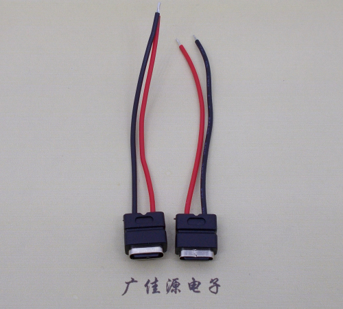 泰州type c2p防水母座焊线式带线注塑成型带接线端子/不带接线端子充电连接器